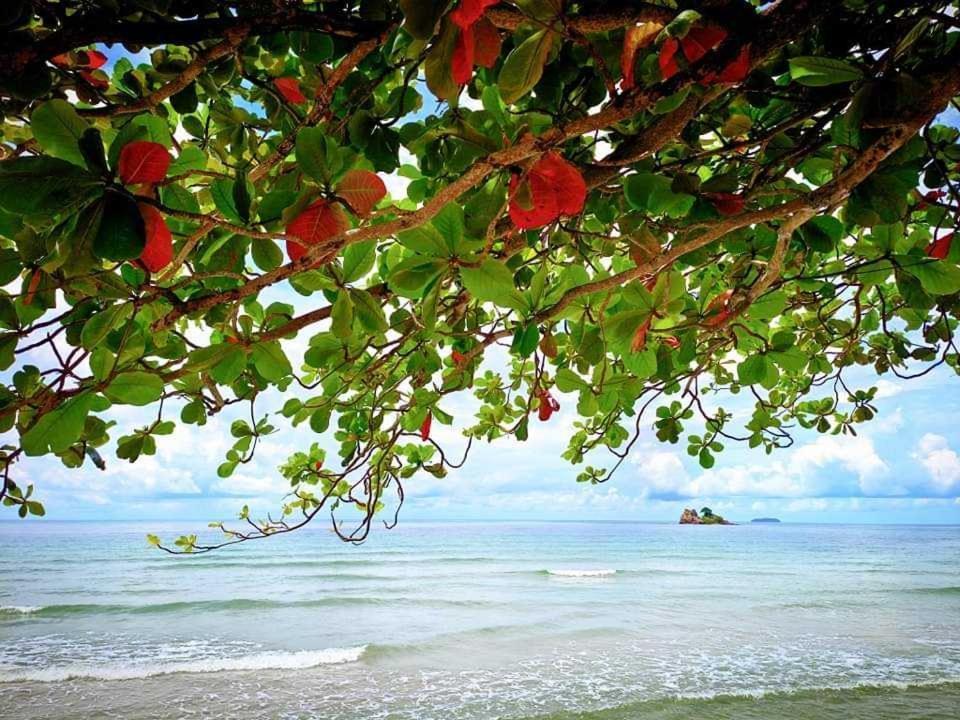 ทีพักติดหาดแหลม​แม่พิมพ์​Mantra Condo​ Rayong​ Ban Ang ภายนอก รูปภาพ